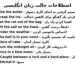 اصطلاحات جالب انگلیسی